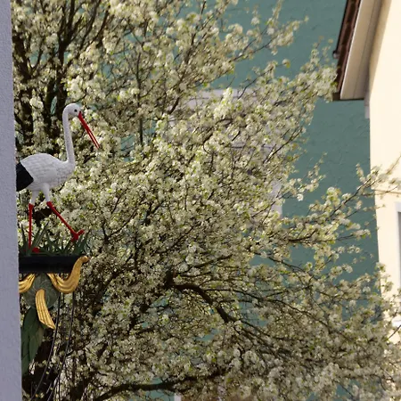 Storchennest - Schoenes, Ruhiges Mit Sonnenterrasse Lejlighed *