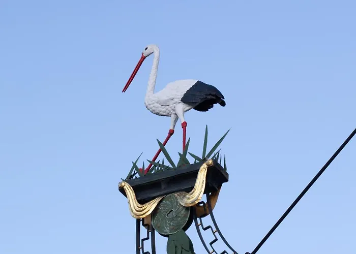 Appartement Storchennest - Schoenes, Ruhiges Mit Sonnenterrasse