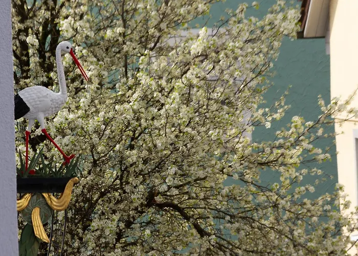 Storchennest - Schoenes, Ruhiges Mit Sonnenterrasse Appartement *